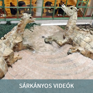 Sárkányos videók Sárkányos videók